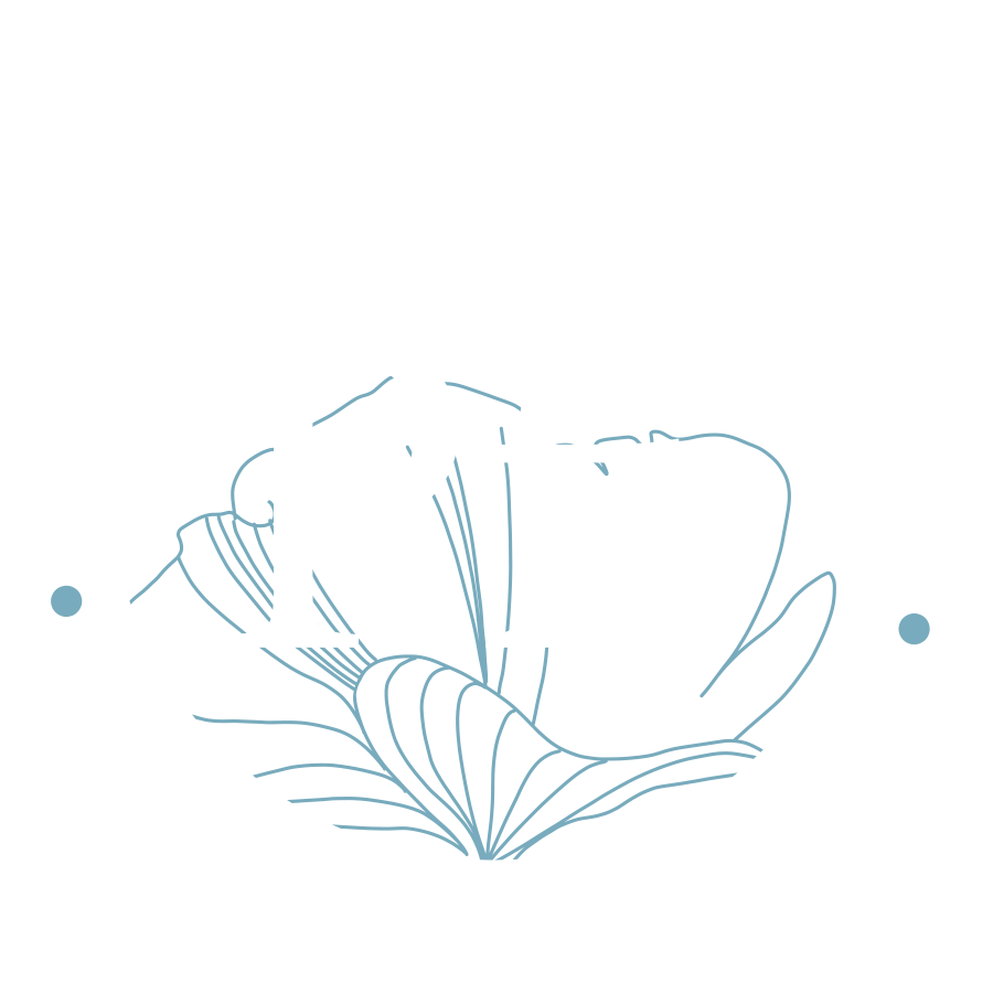 PFI - Pompes funèbres intercommunales de la région grenobloise